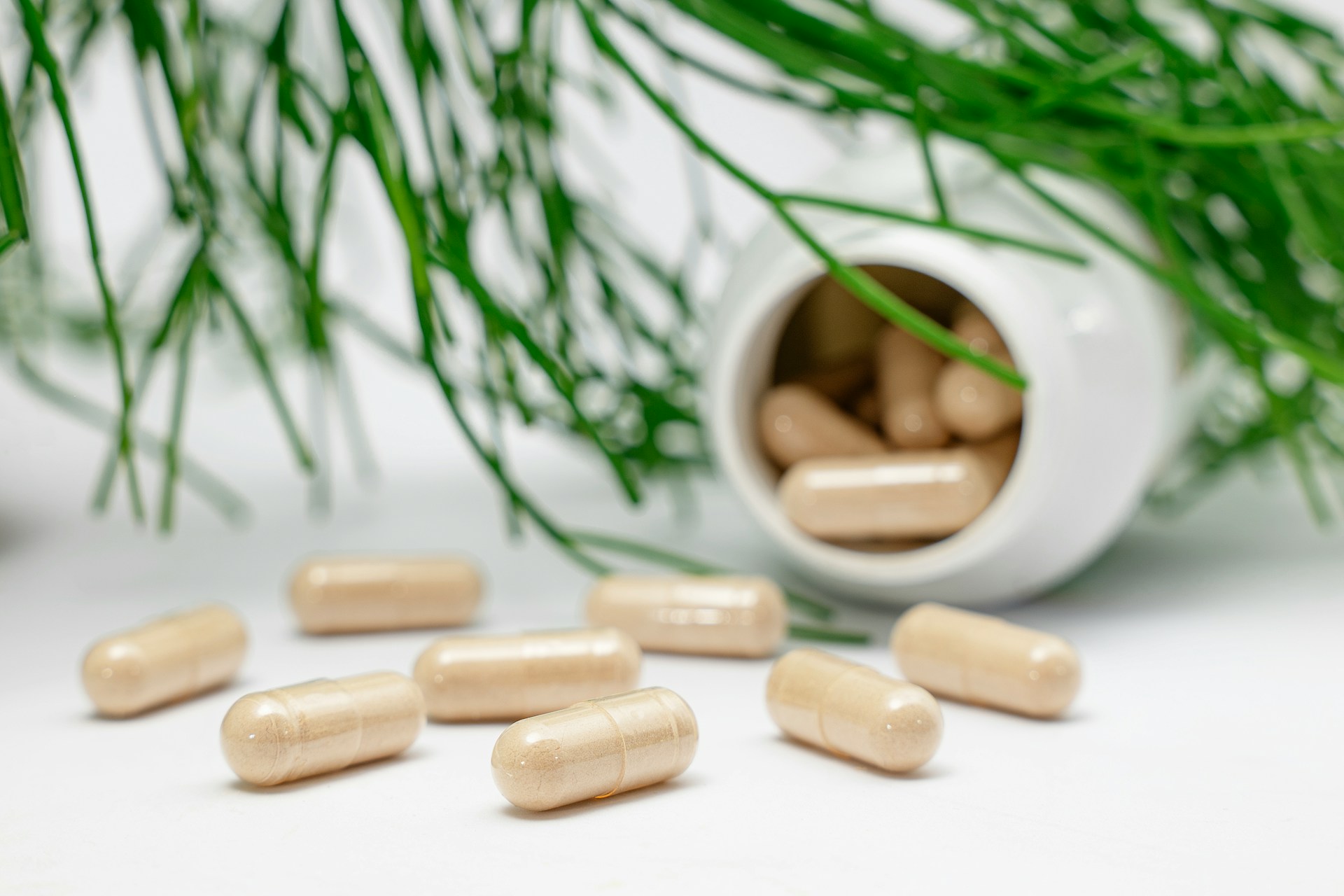 Qu’est-ce qu’un complément alimentaire&nbsp;?
