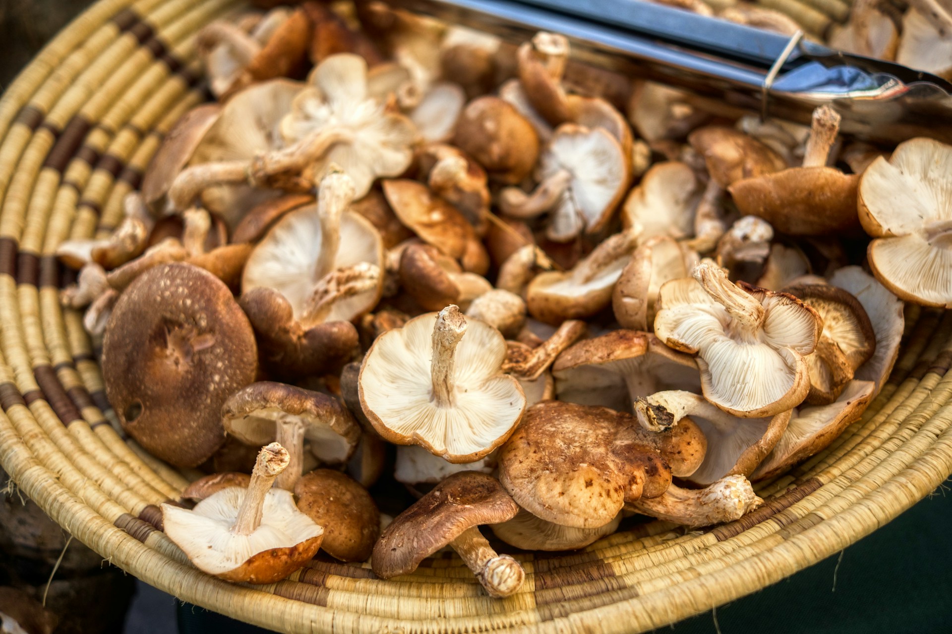 Vitamine B5