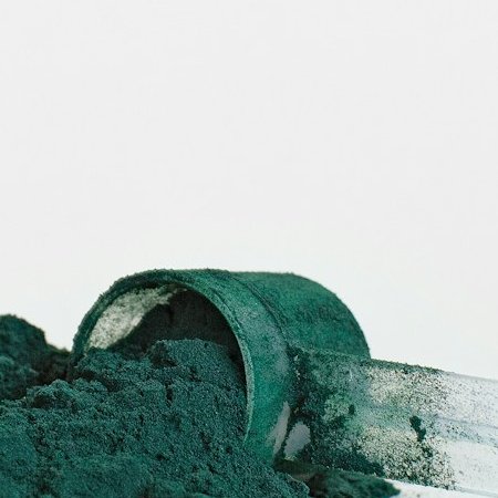 Spiruline