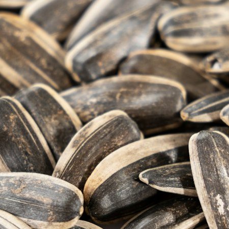 Vitamine B1