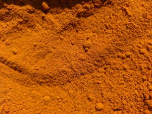 Curcuma